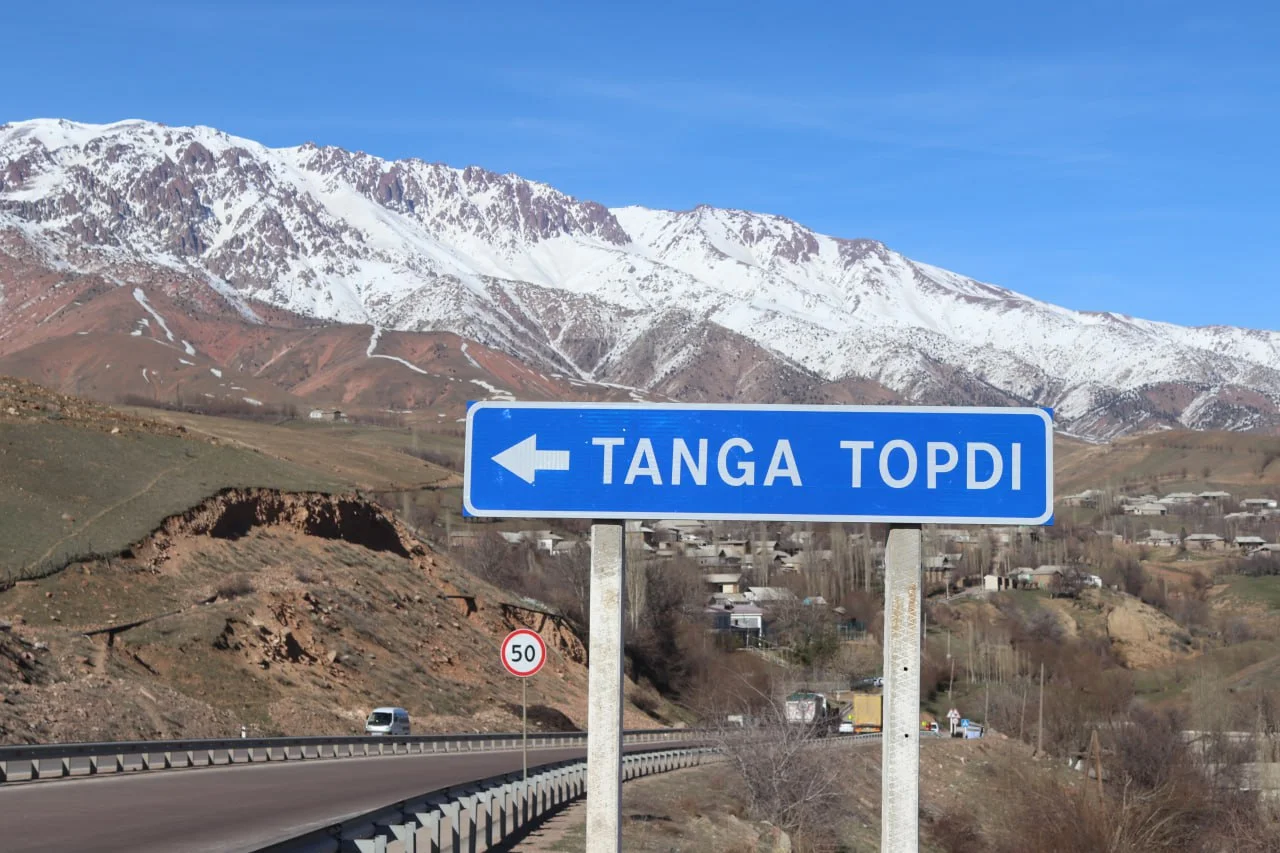 Porno qiz hojatxonada onanizm qiladi